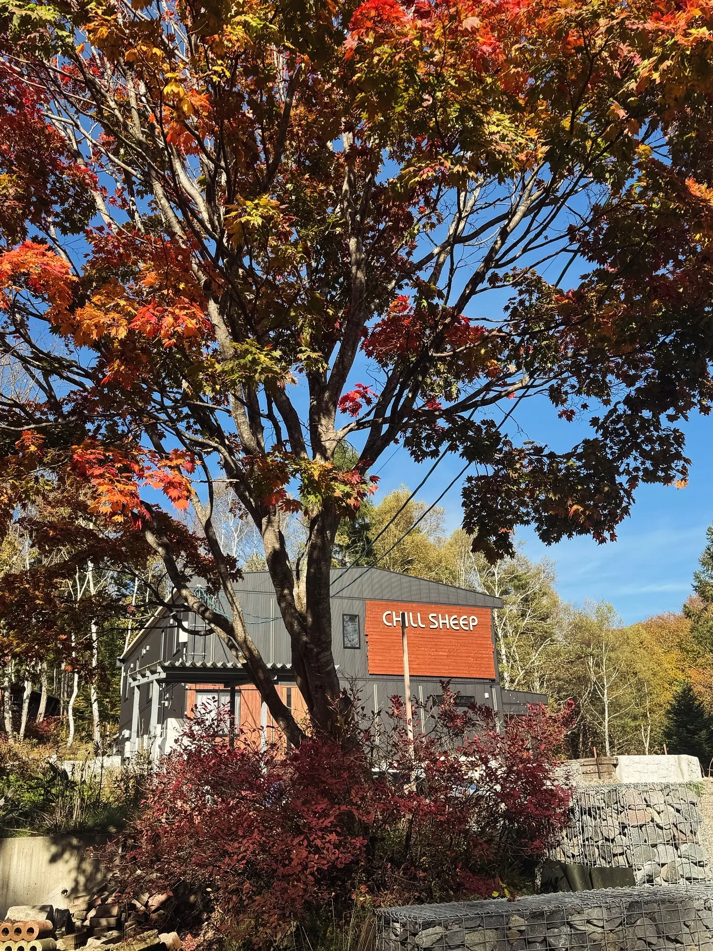 ChillSheepのシンボルツリー